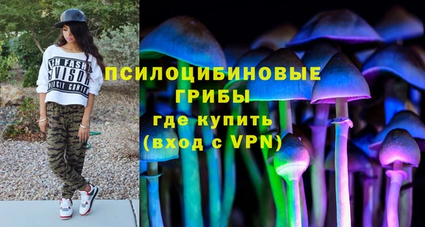 хмурый Сатка