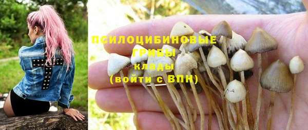 гидра Абдулино