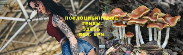 ECSTASY Абинск