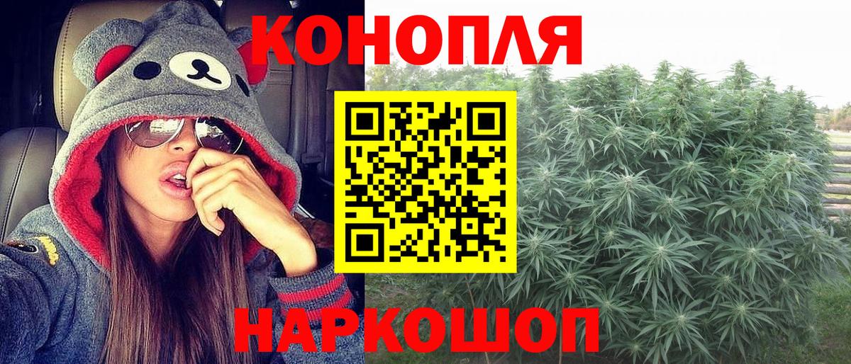Шишки марихуана Amnesia Курчатов